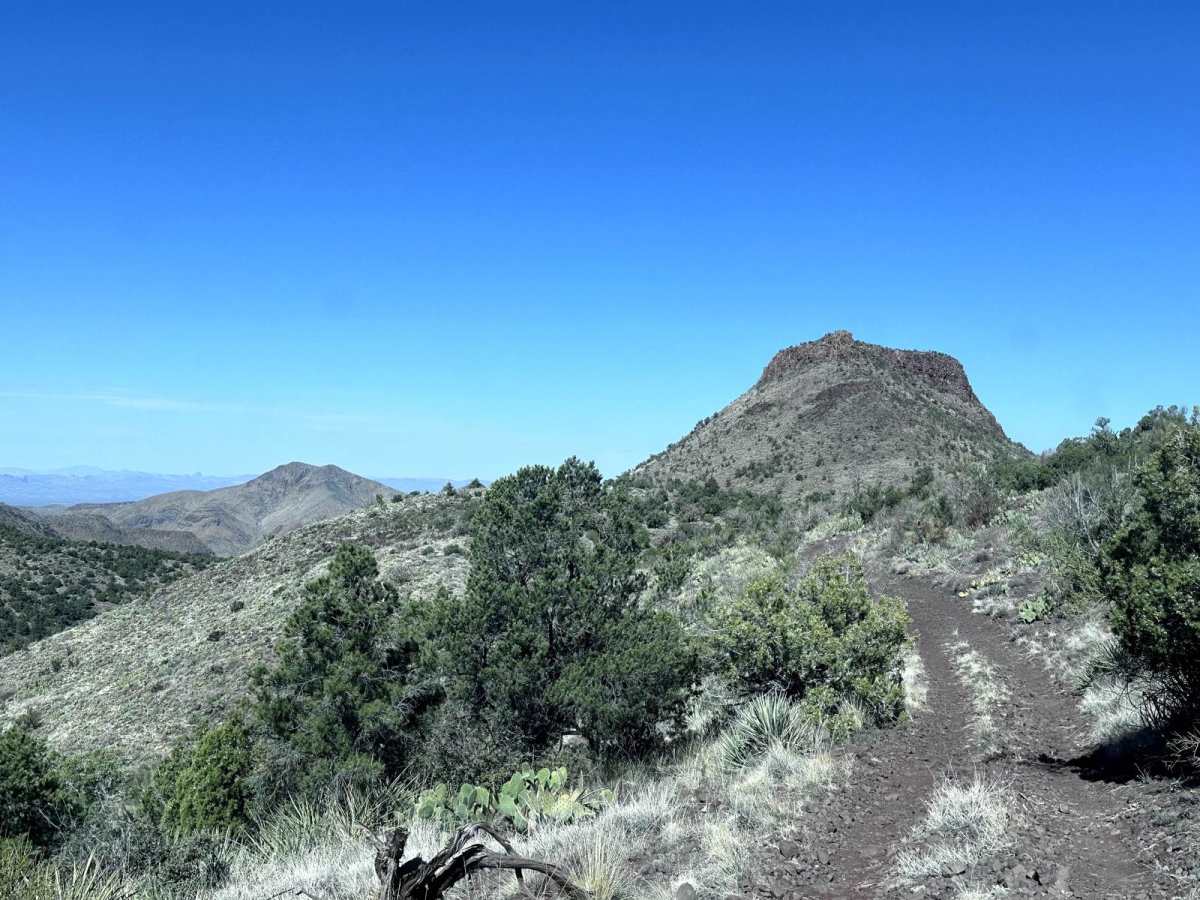 Yellow Flower Creek Loop photo 5