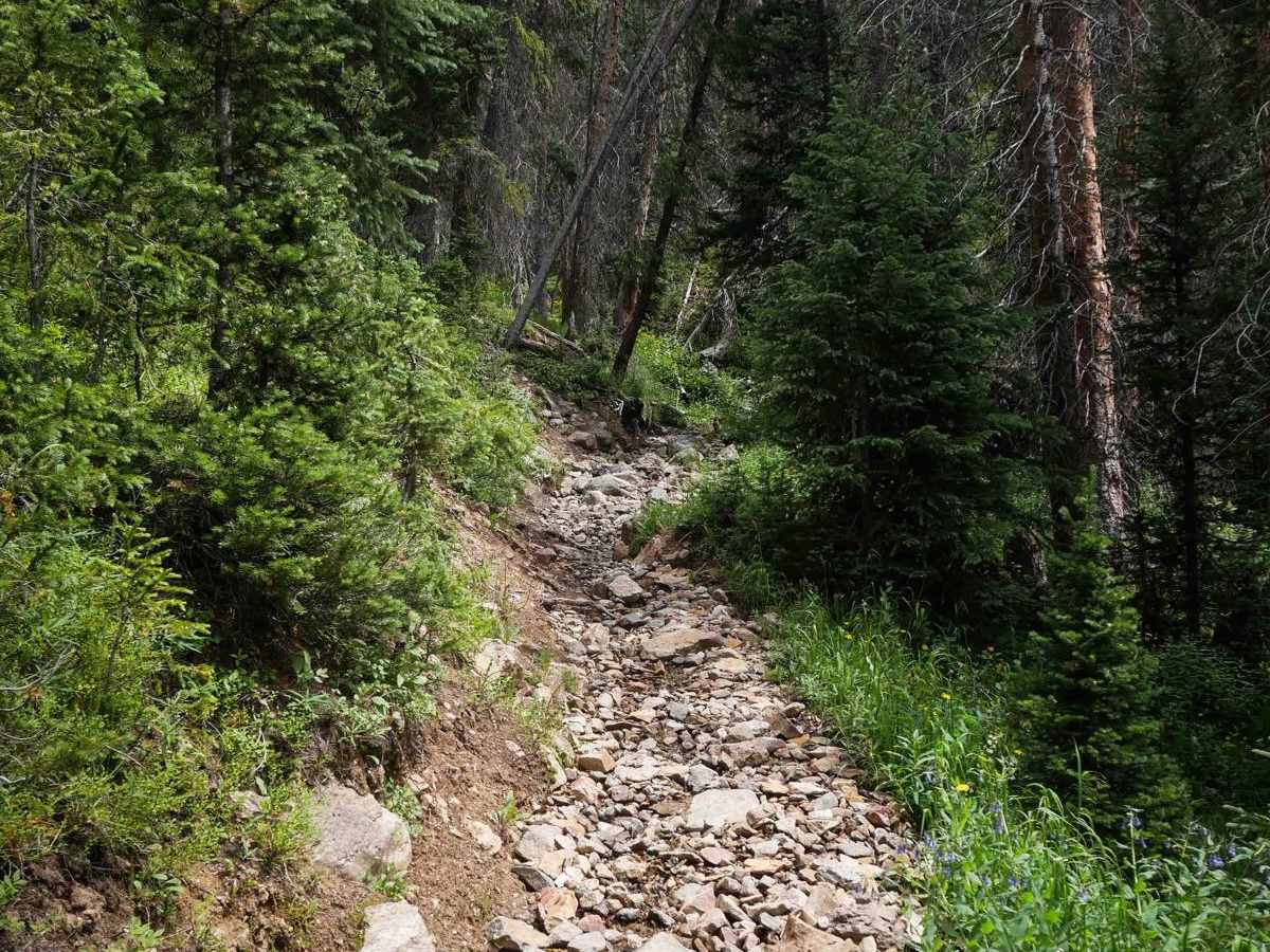 Never Summer Trail  photo 2
