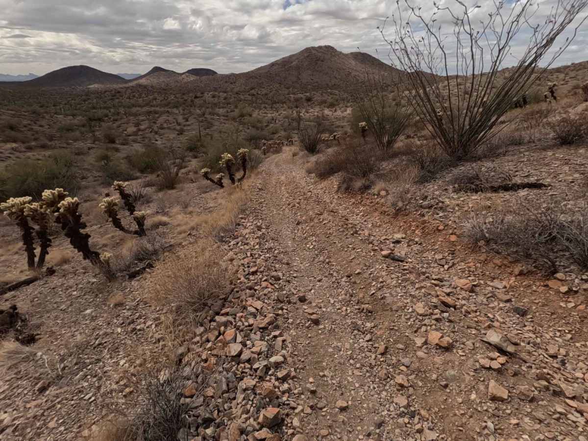 Gold Bullion trail photo