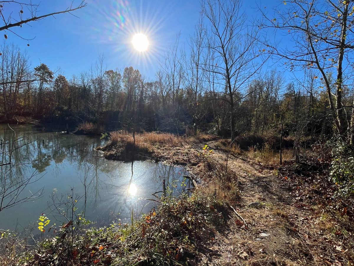 Open Ponds Trail photo 3