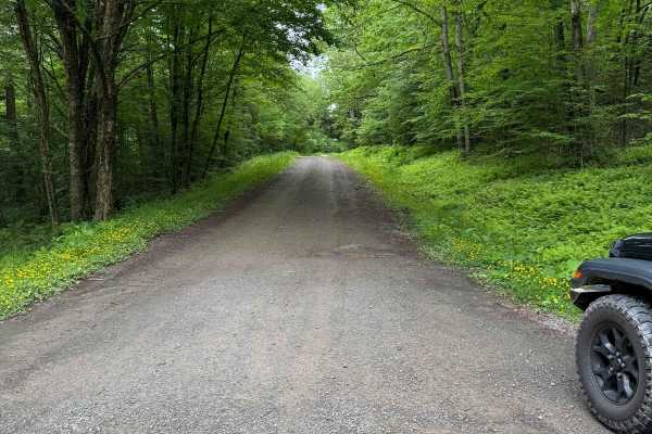 West Trout Brook Road