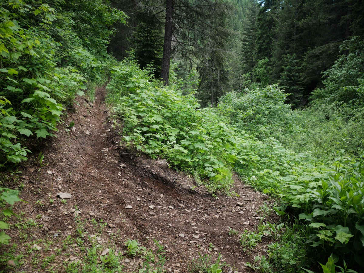 East Fork Big Creek photo 6