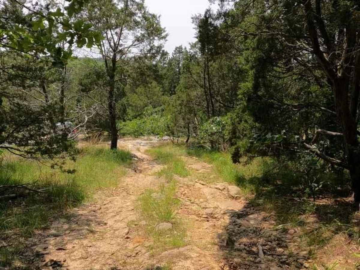 Eagle Mountain Bluff Trail FSR 1454 photo 3
