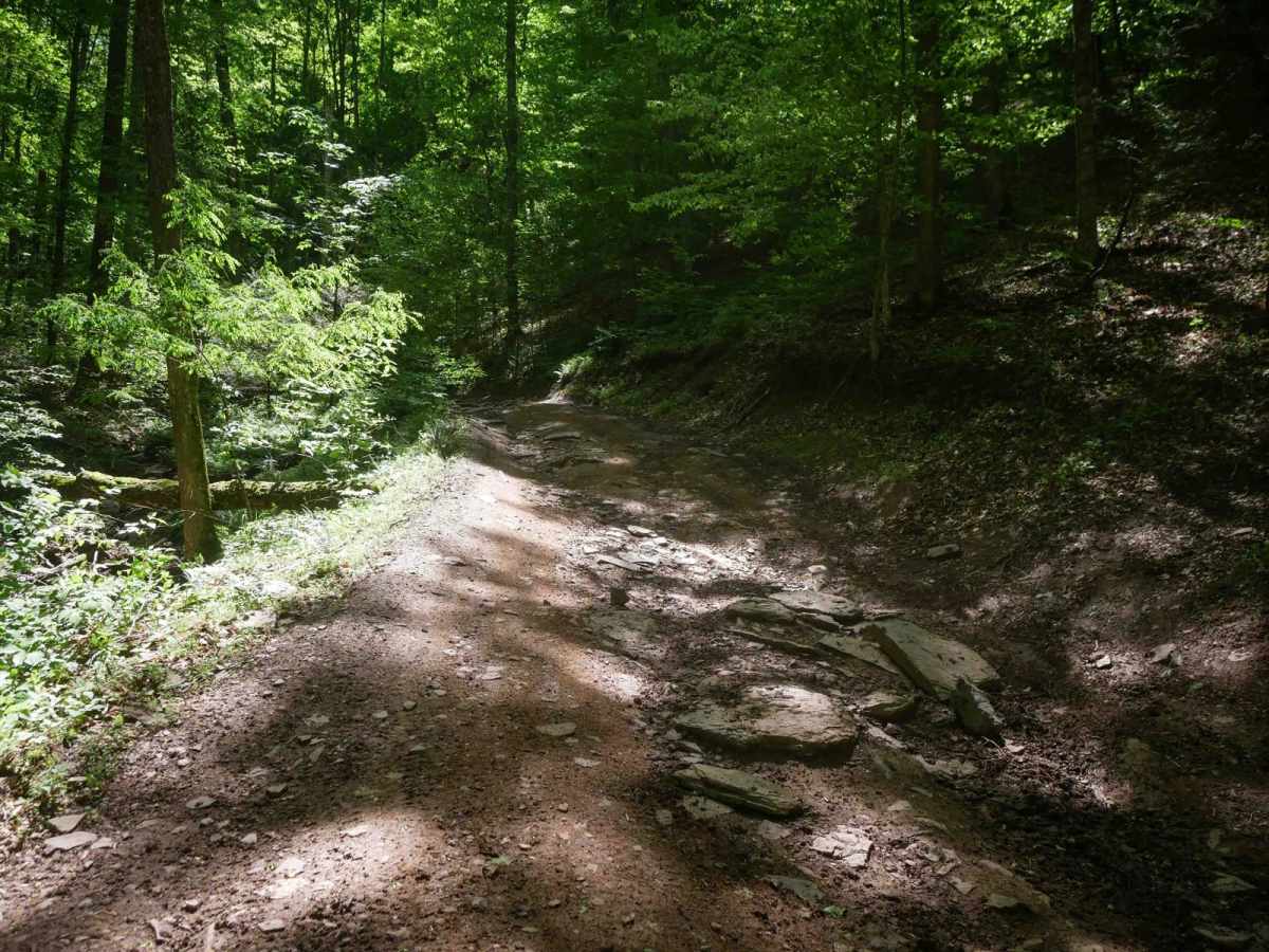 Trail 24 photo 4