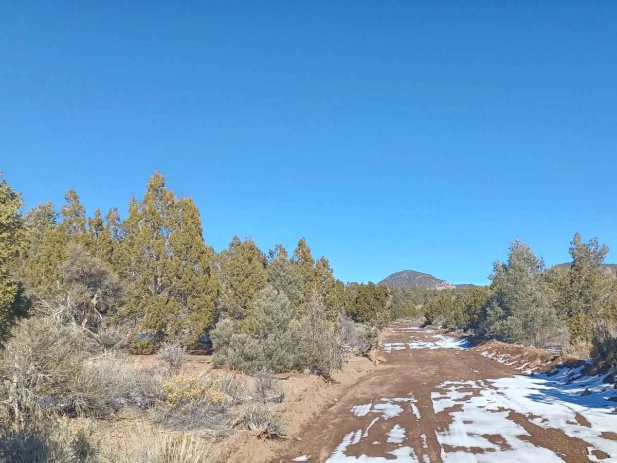 Weepah Springs Road photo 6