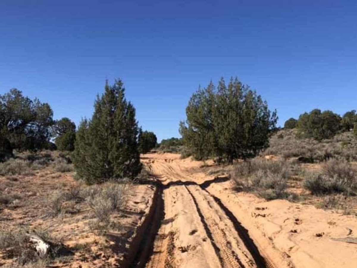Cottonwood Cove-BLM1082 photo 5