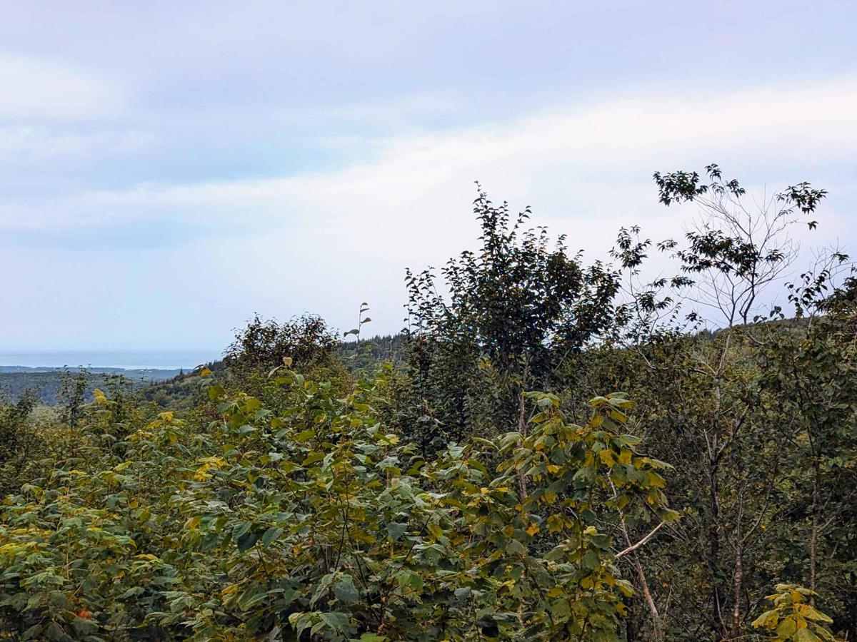 Connors Mountain Road photo 5