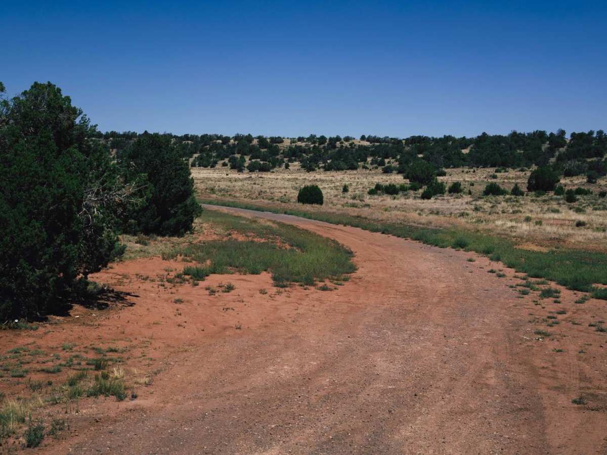 Wild Bill 7 trail photo