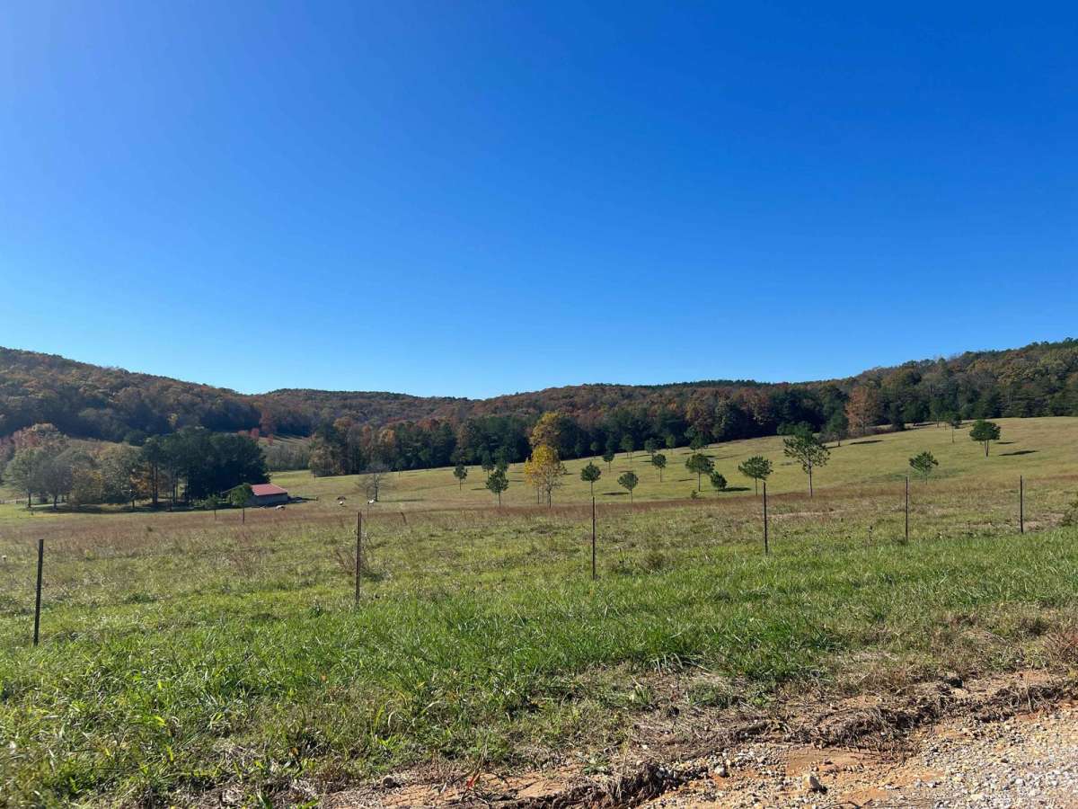 County Road 198 - FS272 photo 3