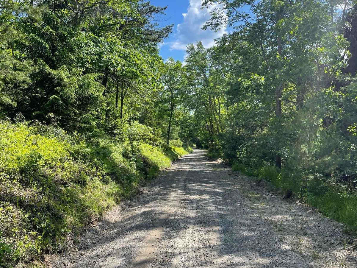 Mill Branch Road photo 2