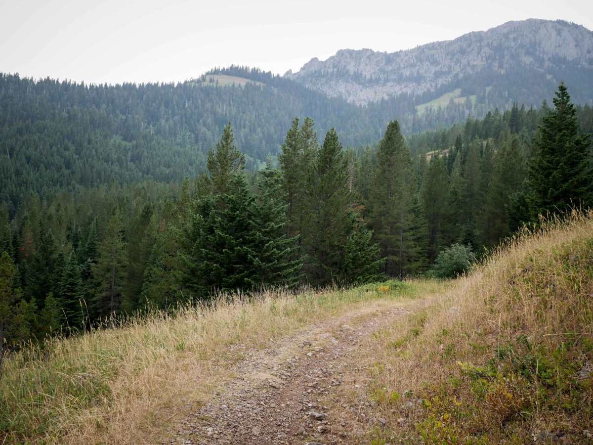 Ross Pass photo 5