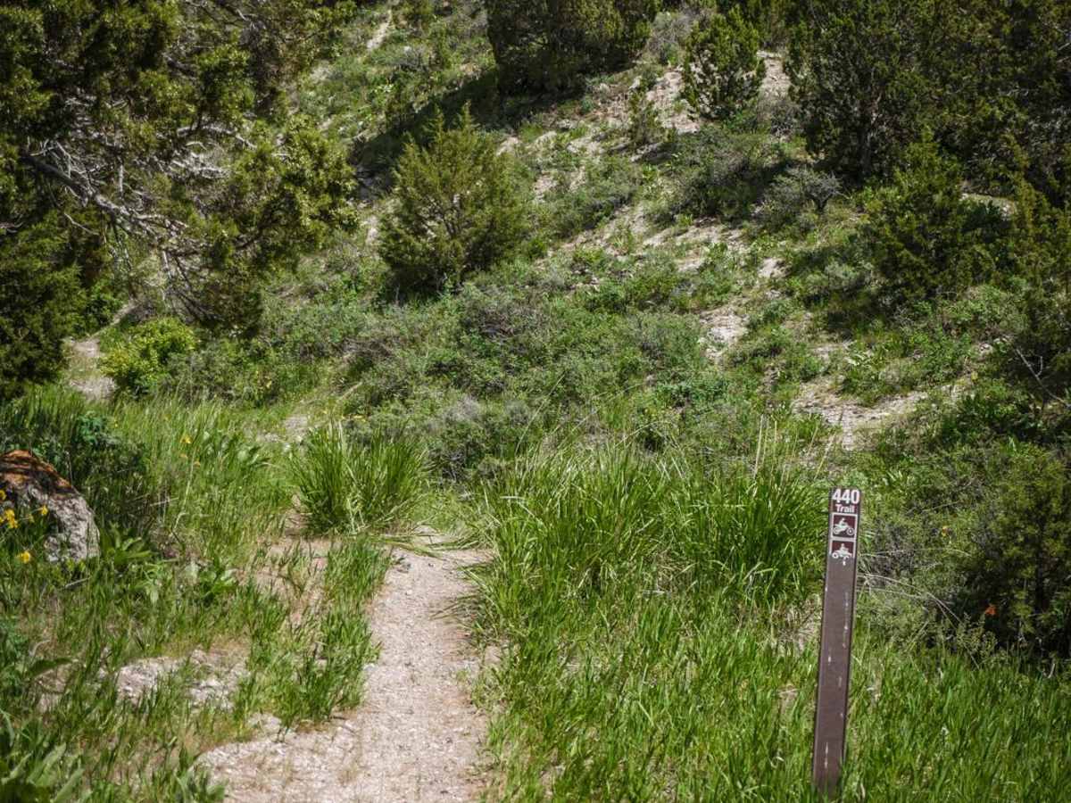 Deep Creek to Ruben Hollow 7440 photo 2