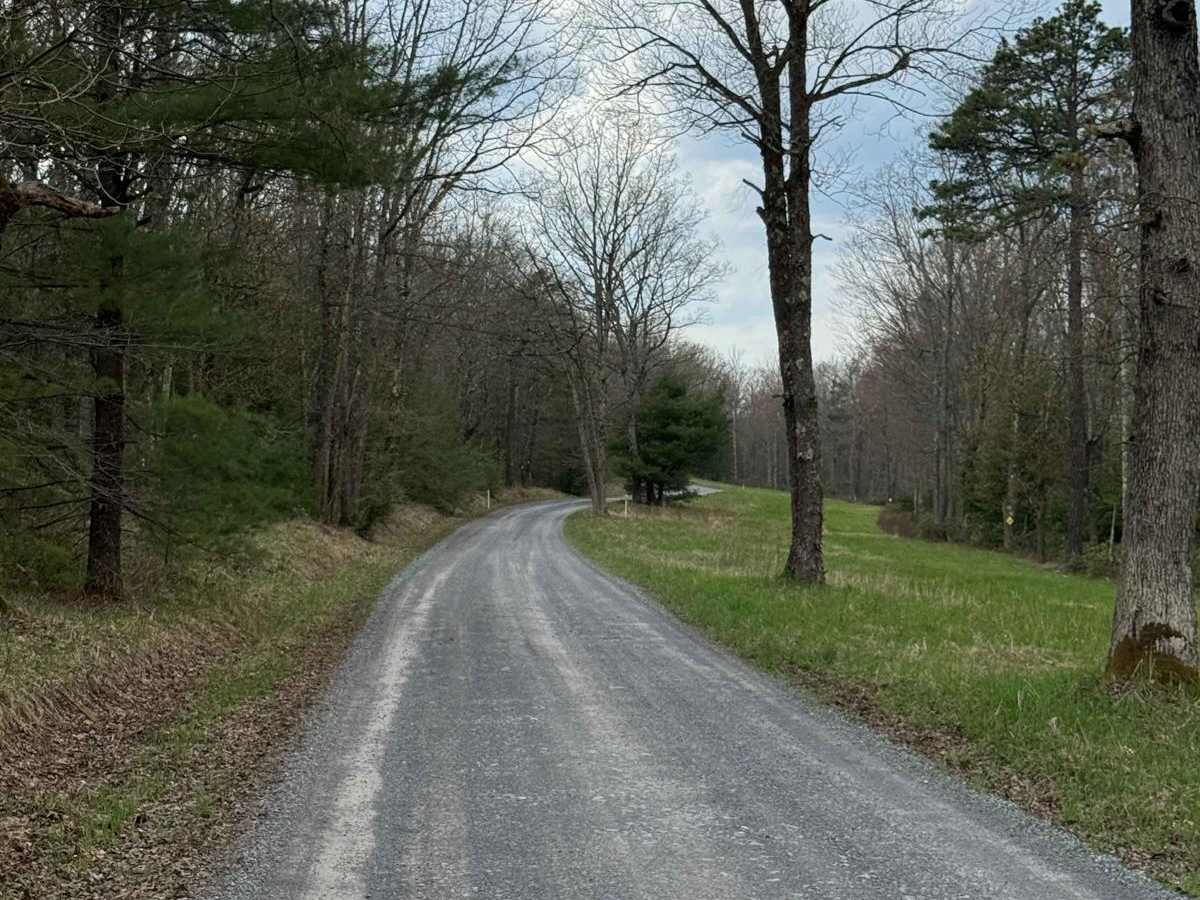 Ritchie Road photo 6