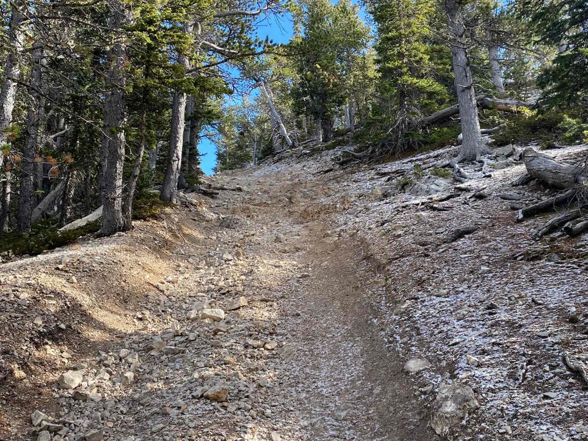 Bartleson Peak- J8823 photo 3