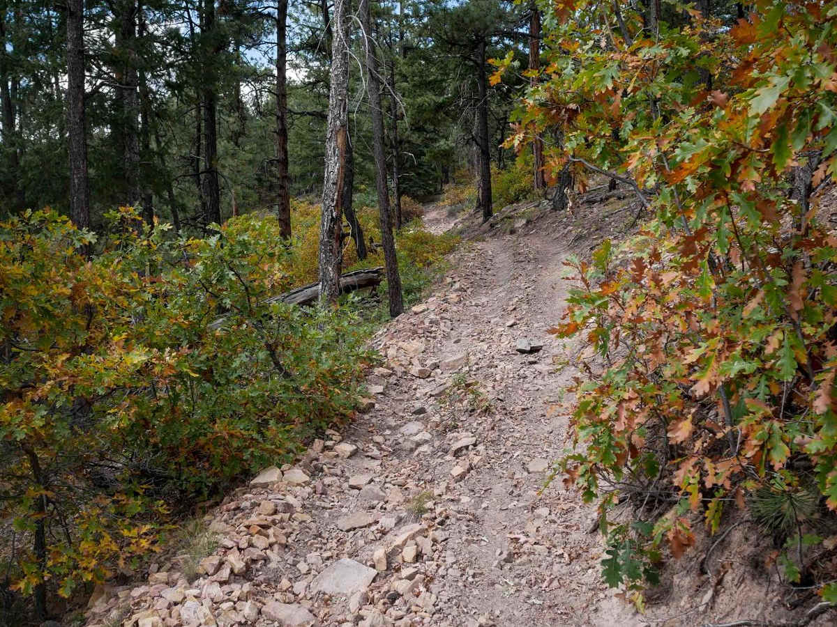 Double G trail photo