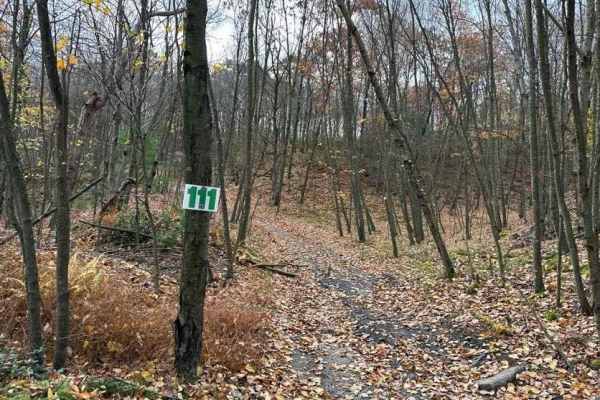 ATV Trail 11