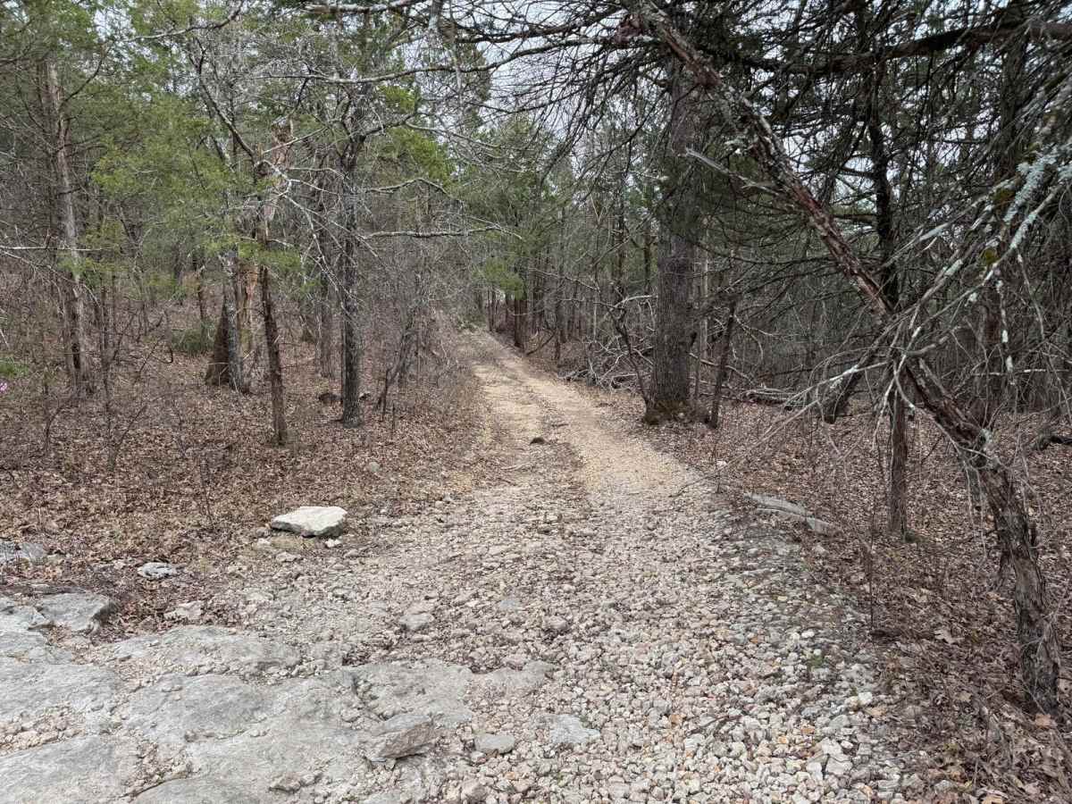 Fairview Connection - FSR 170A trail photo