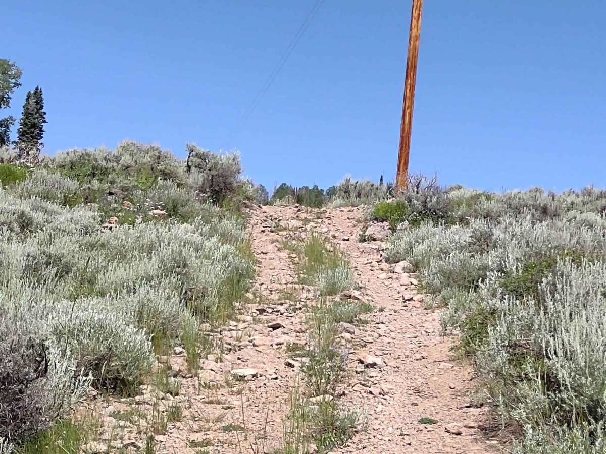 Wapiti Trail photo 6