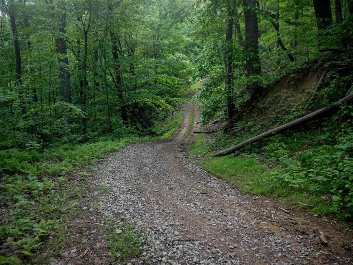 MV28 trail photo
