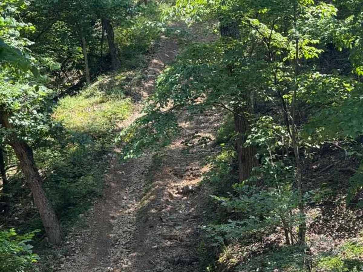 Abby's Trail photo 3