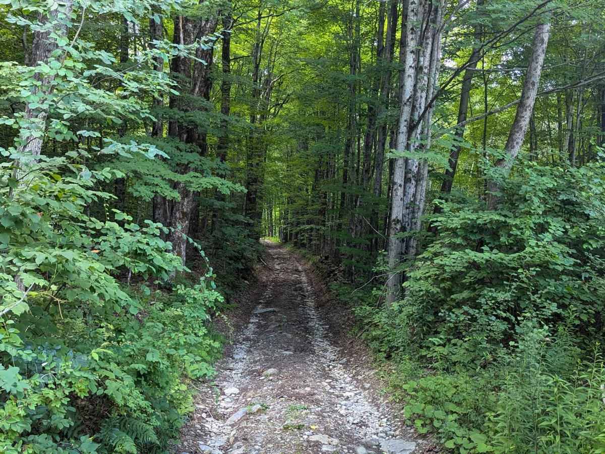 Beartown Road trail photo