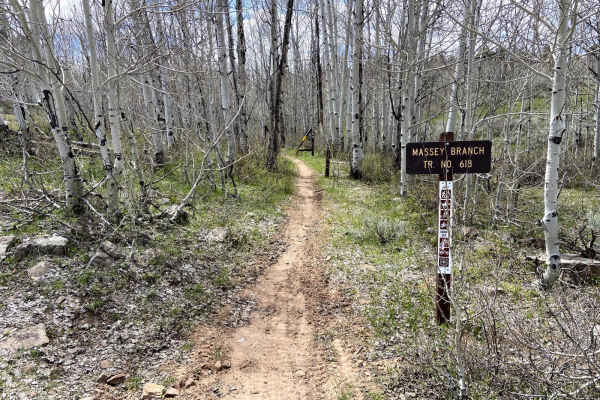 Massey Branch Trail