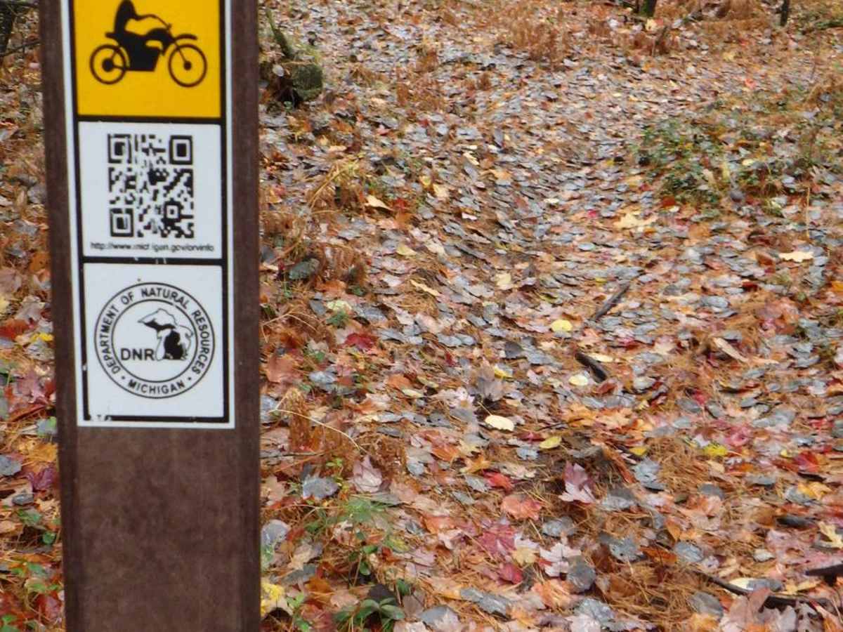 Little Manistee Cutoff 24-inch Trail trail photo