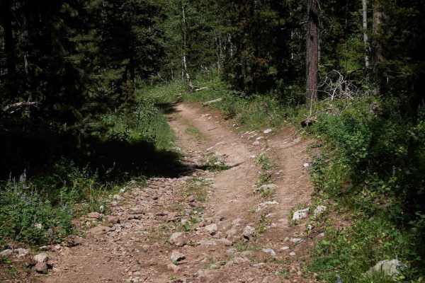 Cold Springs/Upper Dry Valley #5206