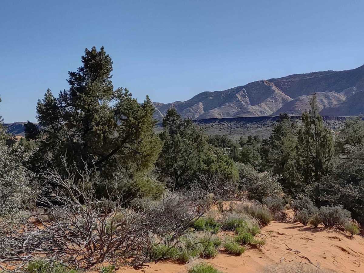 Gunlock Campground Access photo 4