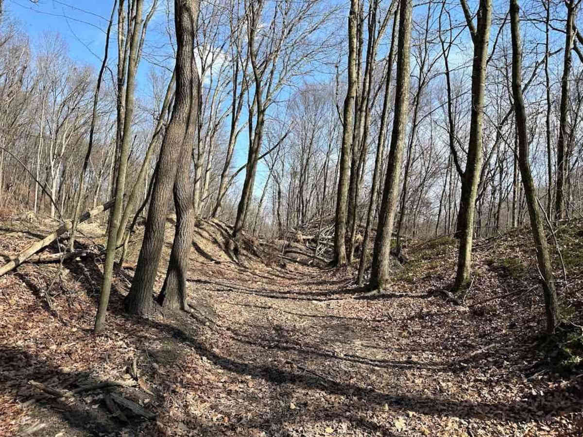Ashland 21 trail photo