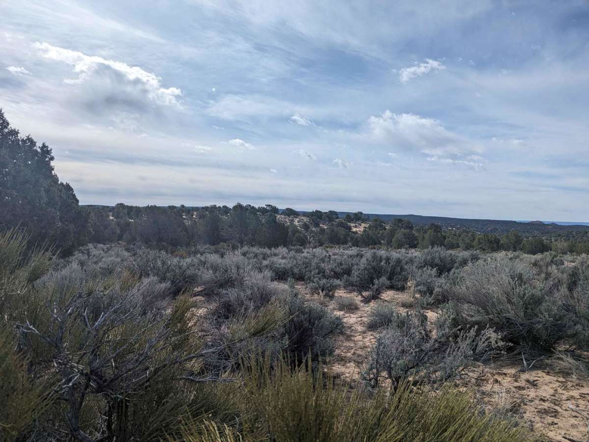 Nephi Pasture Road Offshoot photo 4