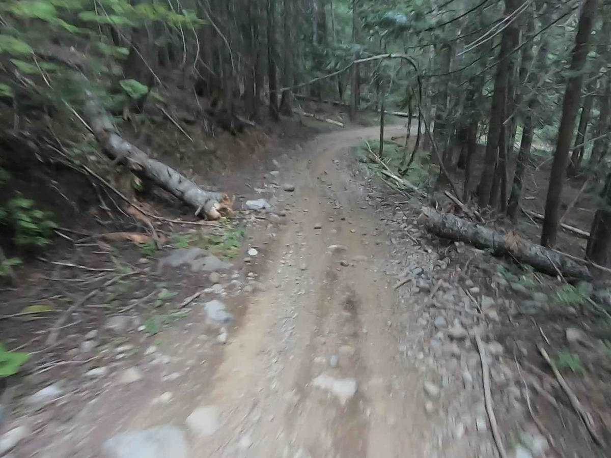 Strong Creek OHV Route photo 6