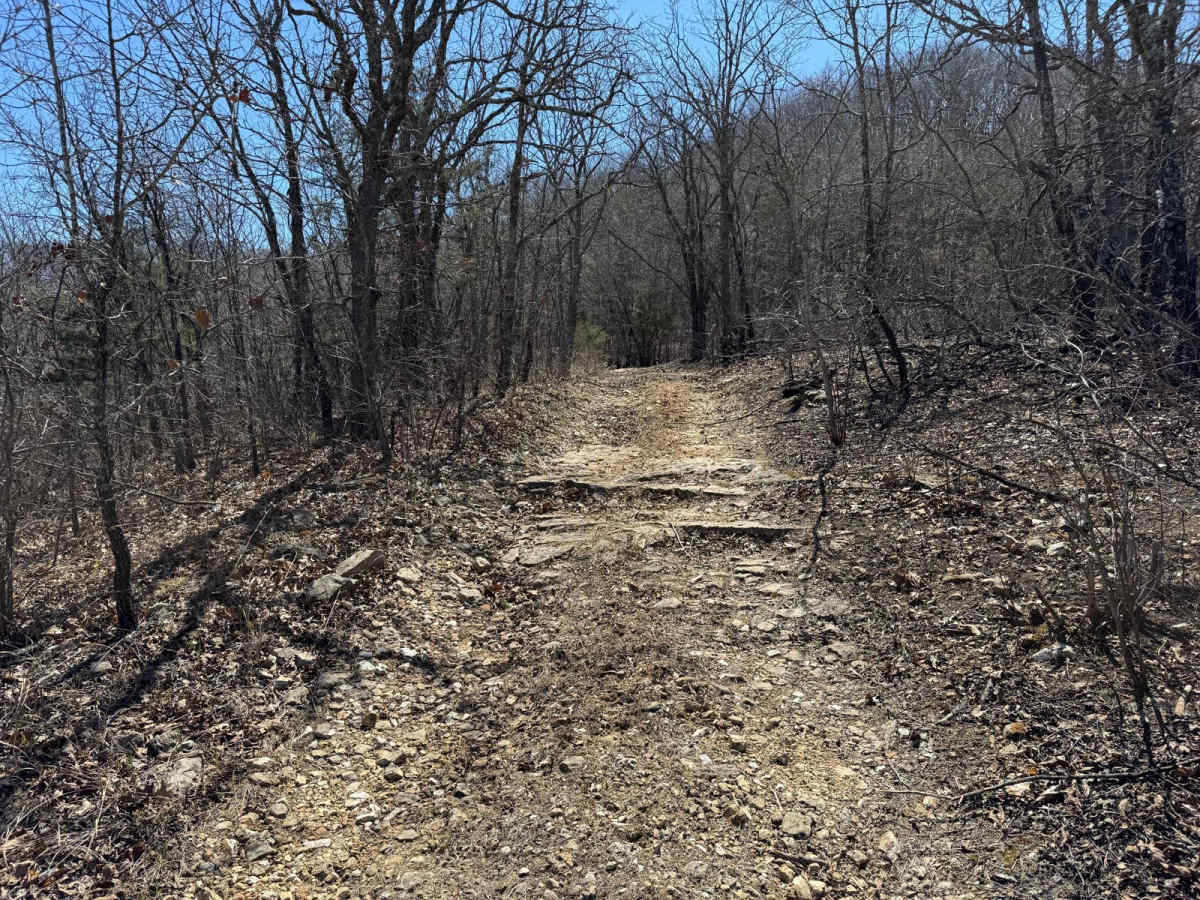 FSR 605 photo 3