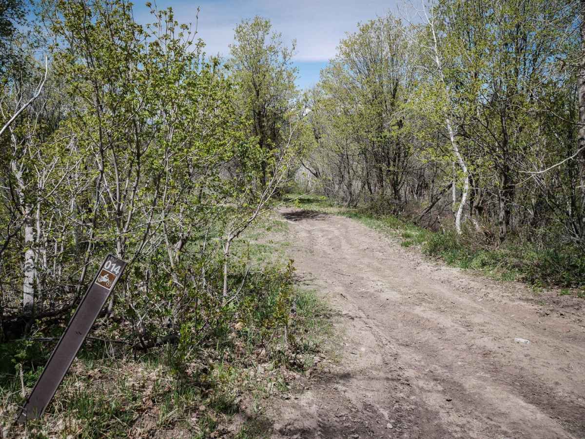 Sixth Water Divide #014 trail photo