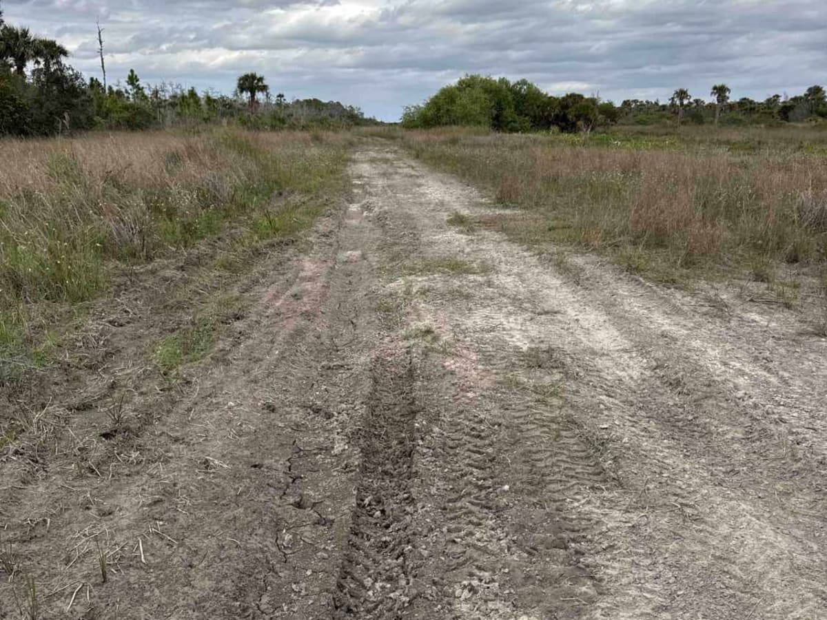 Boundary Trail photo 2