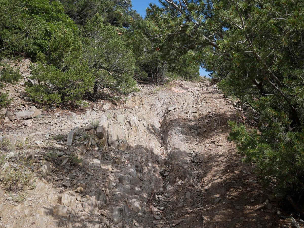 6061A ATV photo 4