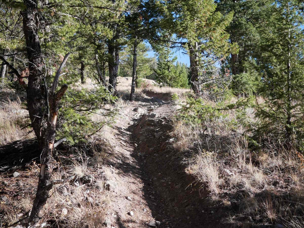 Little Wolford Mountain trail photo