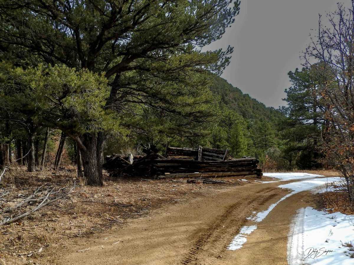 BLM 6045 photo 2
