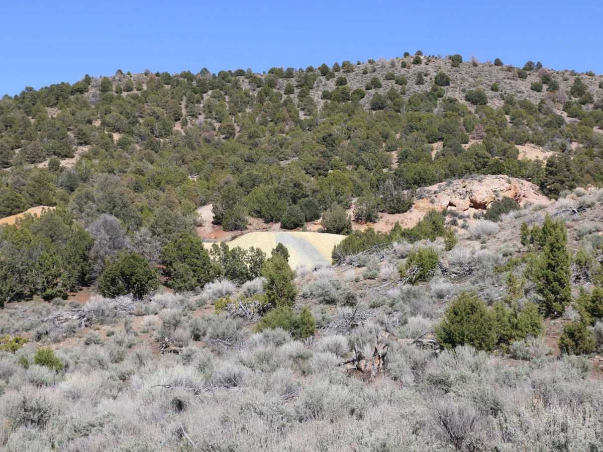 Independence / East Standard Mine Loop trail photo