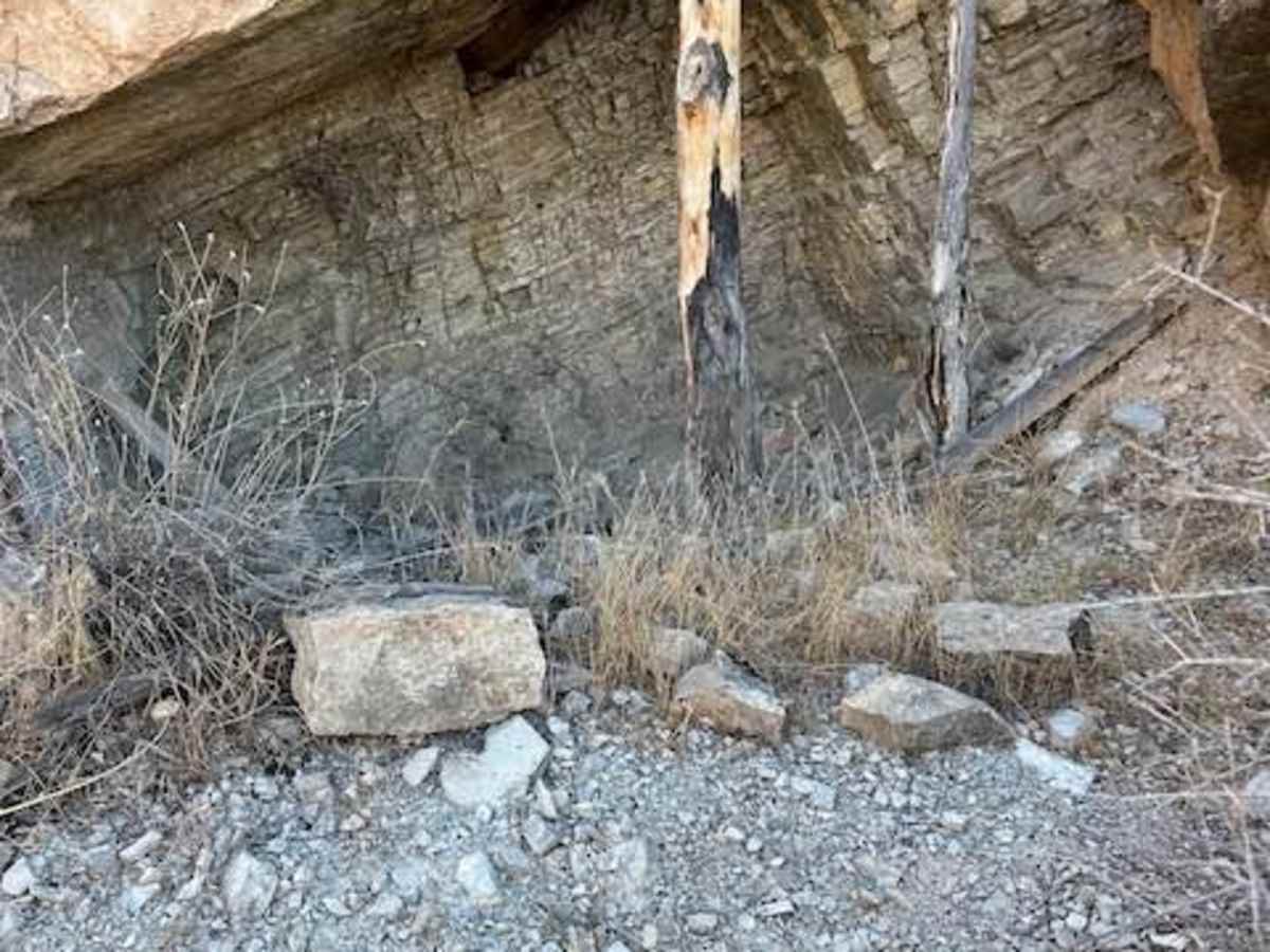 Tramp Mine Trail photo 3