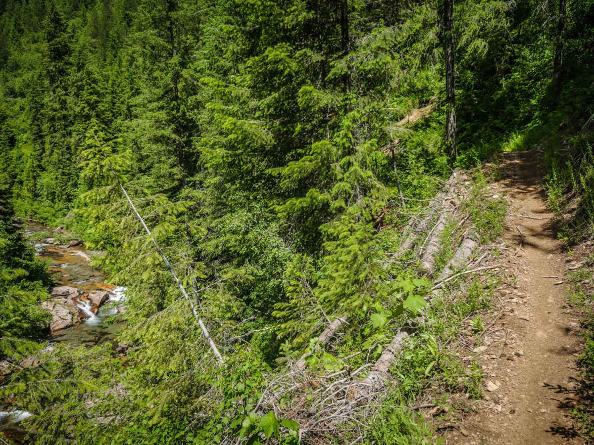 Upper Slate Creek photo 5