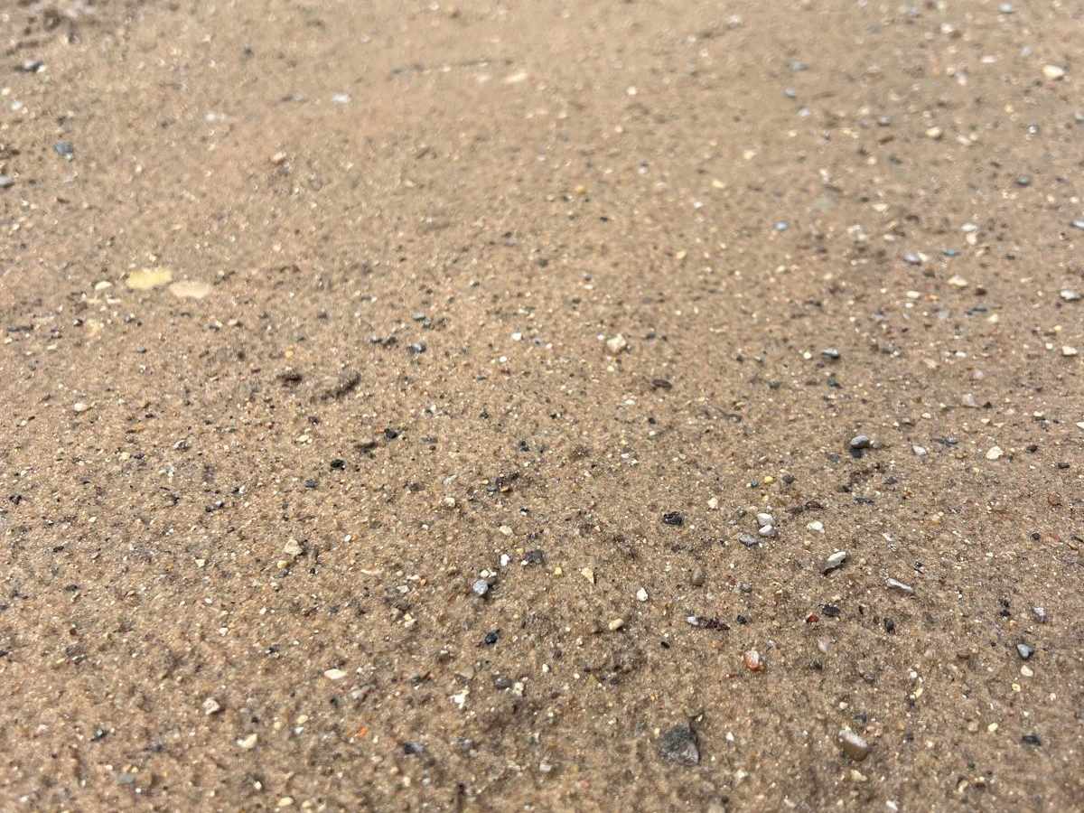 6 Trail photo 3