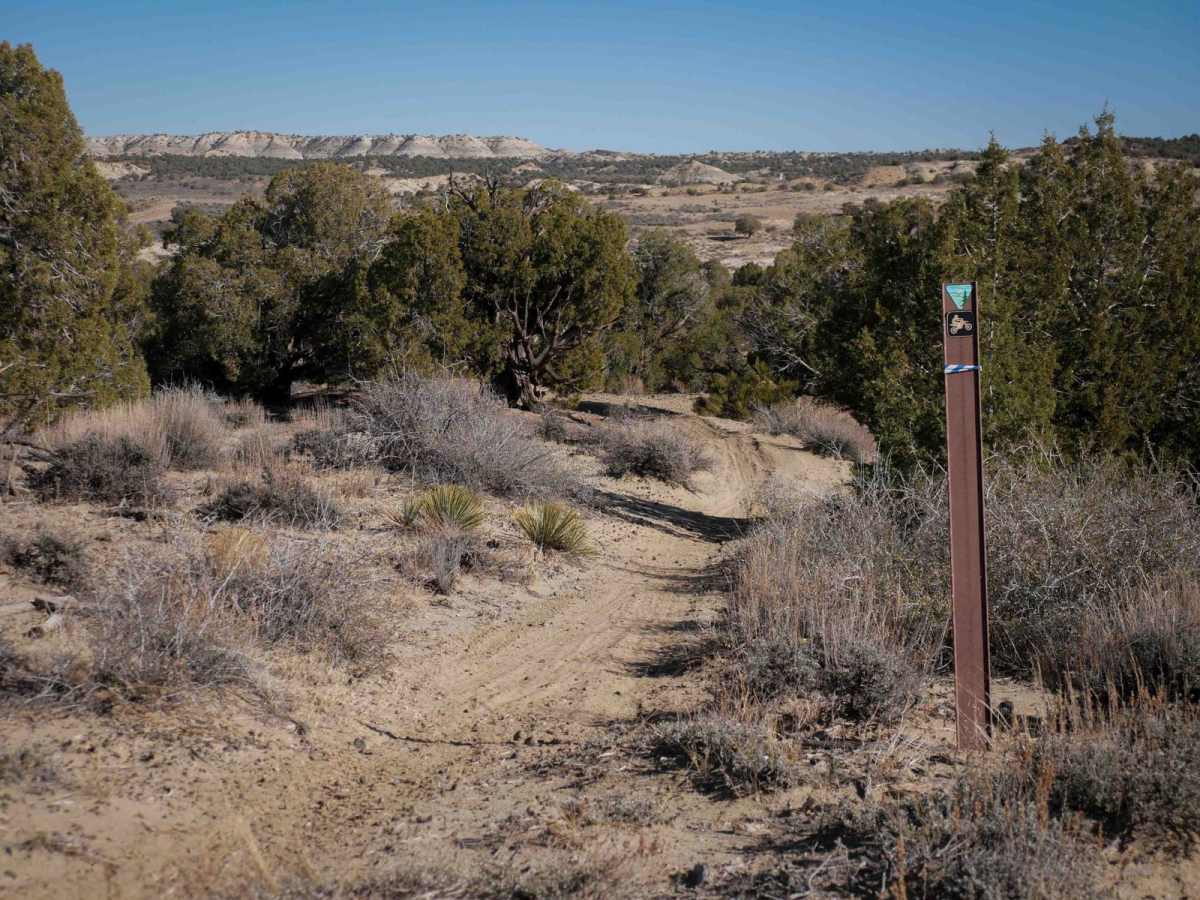 Ridge Singletrack trail photo