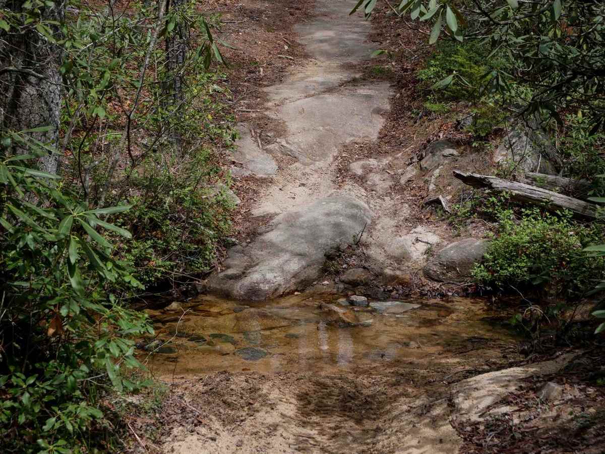 Trail 3 Sullivan's Pass photo 3