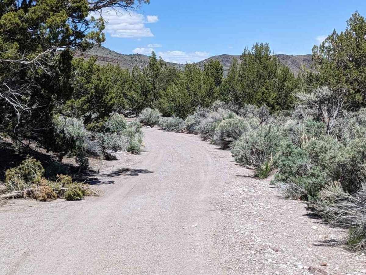 Baudino Ranch Road North photo 2