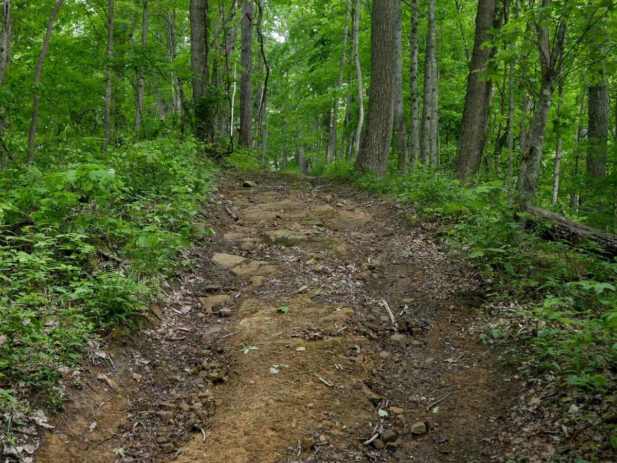 J91 trail photo