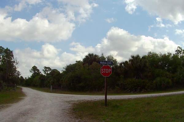 Mustang Loop