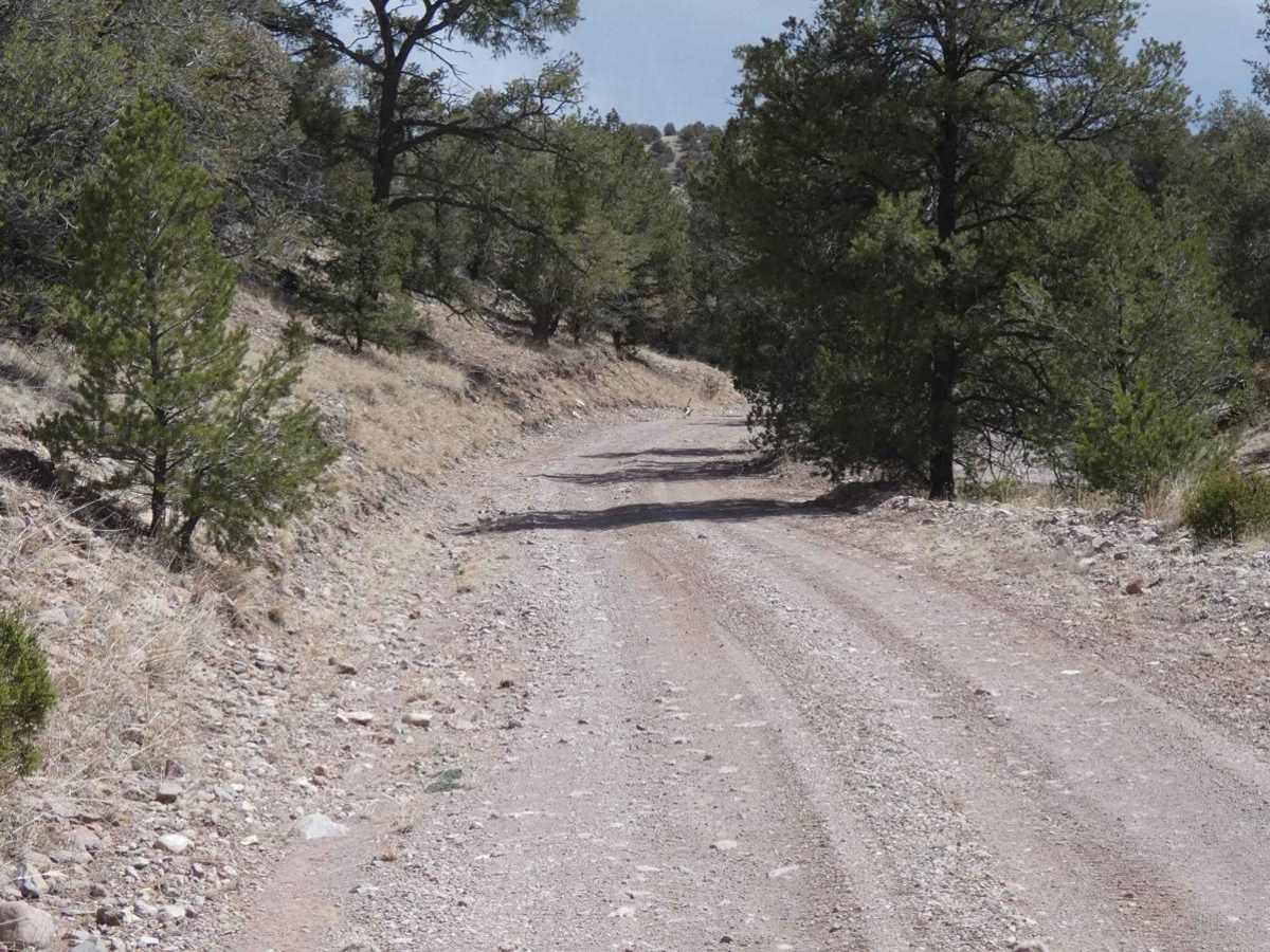 5 Canyon Pass photo 4
