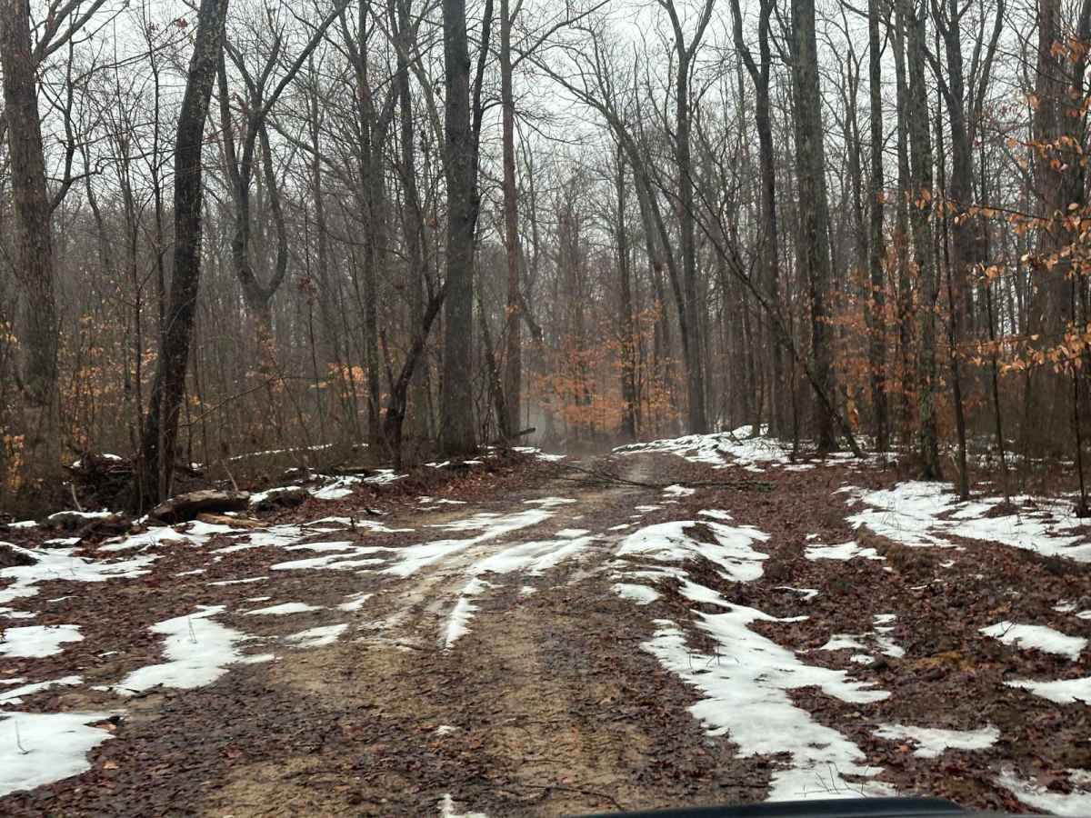 Big Branch 3044 photo 3