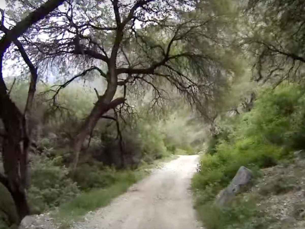 Bucareli to Eco Camp Jabali photo 4